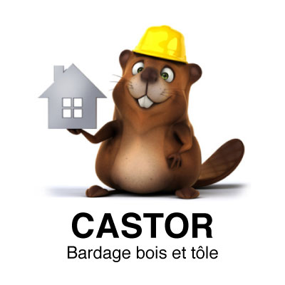 Logo partenaire Castor
